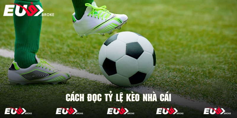 Người chơi cần nắm rõ cách tính và đọc tỷ lệ kèo chuẩn xác